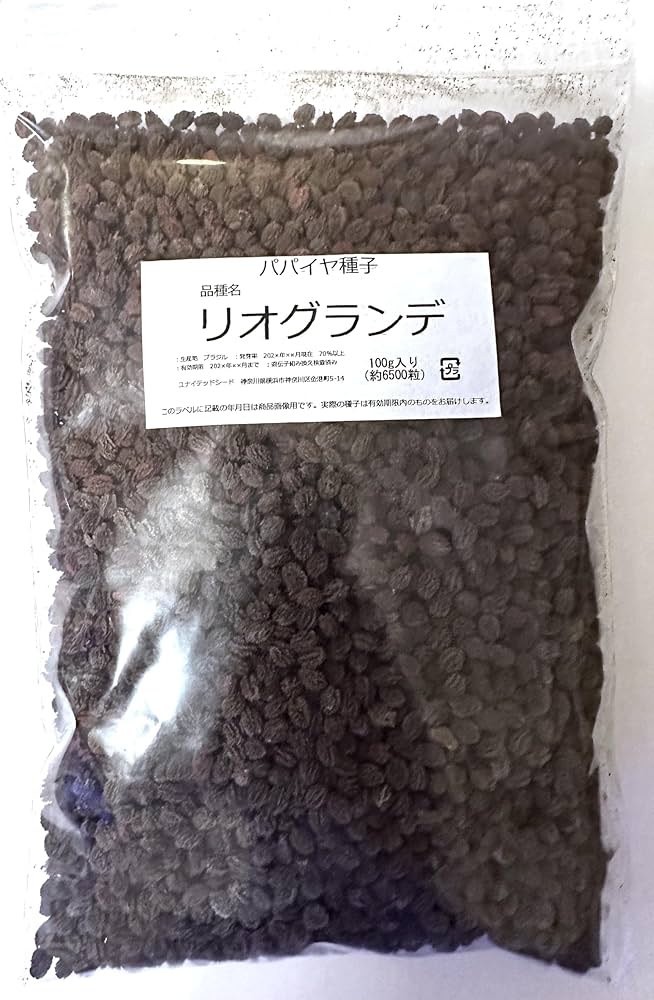 パパイヤ種子（タネ）　品種名　リオグランデ　10g（約650粒） パパイヤ種子（タネ） 品種名 リオグランデ 10g（約650粒）
